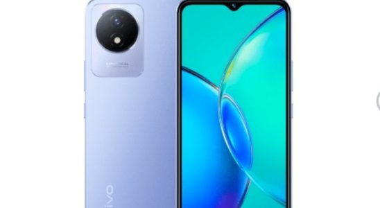 Vivo Y11 Introduced Price and Features