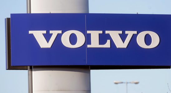 Volvos factory forces salamanders to move