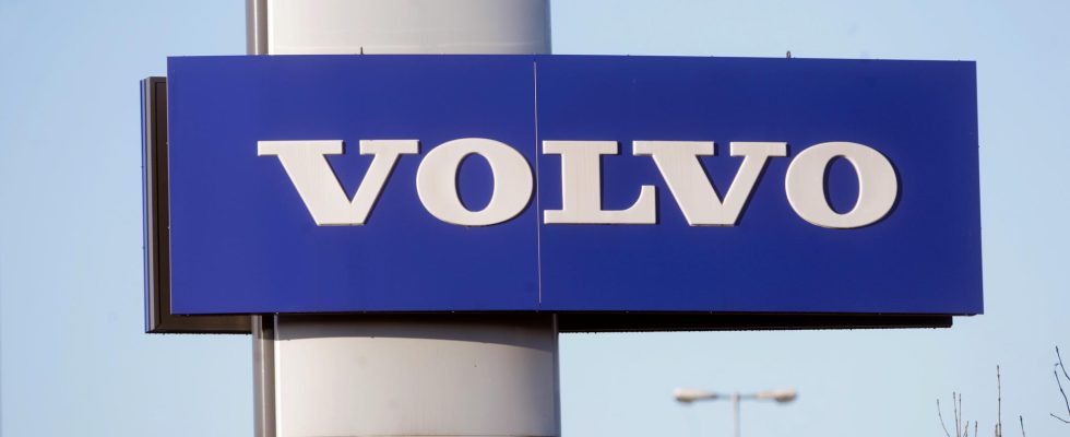 Volvos factory forces salamanders to move