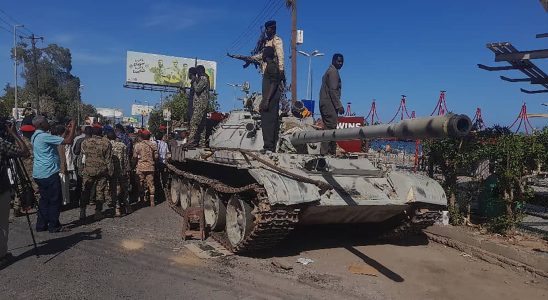 War in Sudan belligerents origin balance sheet The conflict explained