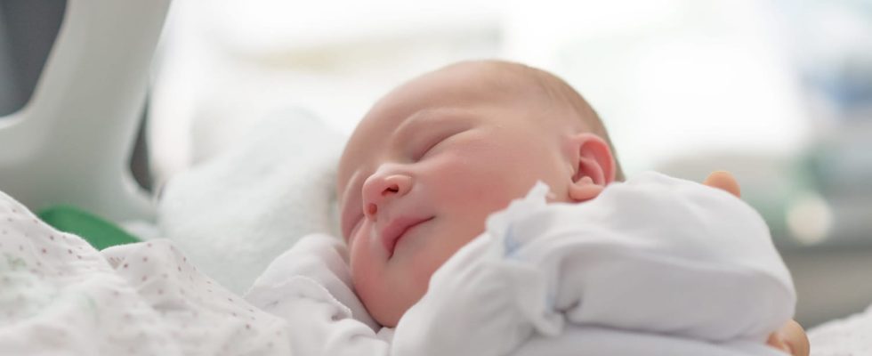 When do the 5 senses of the newborn appear