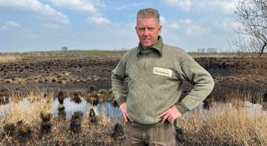 Who sets fire to a nature reserve a sad