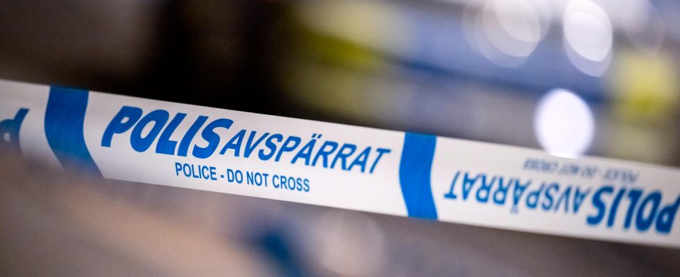 Woman raped in a park in Stockholm