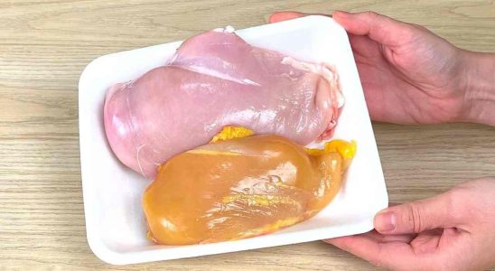 Yellow or white chicken here are the differences you didnt