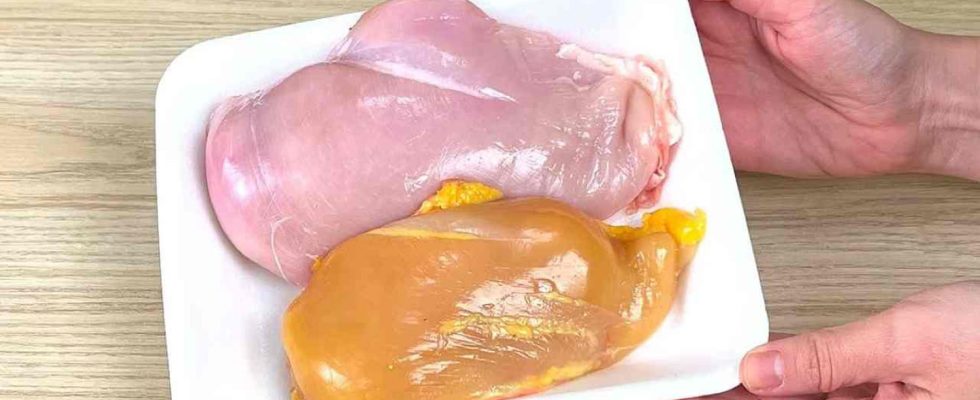 Yellow or white chicken here are the differences you didnt