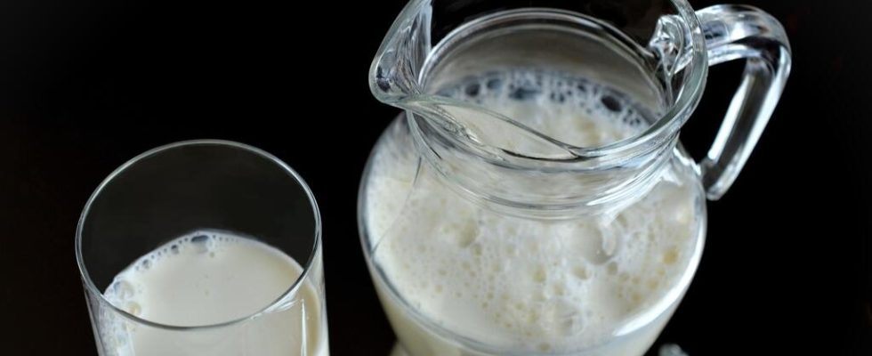 how to overcome lactose intolerance