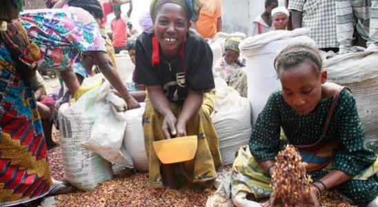 in Goma prices are soaring and the risk of food