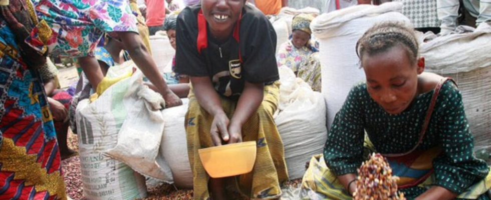 in Goma prices are soaring and the risk of food