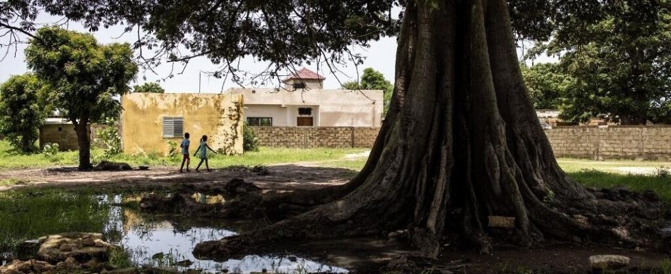 in Mbodiene the inhabitants refuse the continuation of the exploitation