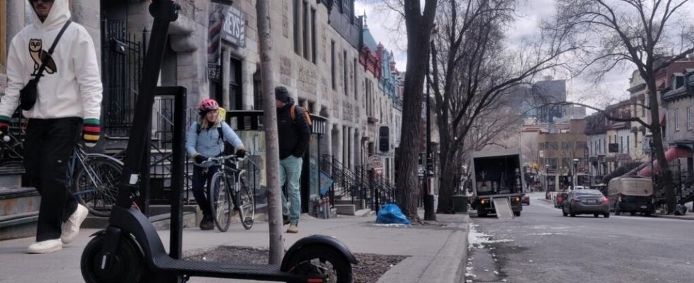 in Montreal the disaster of electric scooters is well forgotten