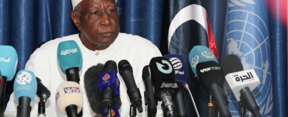 mercenaries and foreign forces at the center of Abdoulaye Bathilys