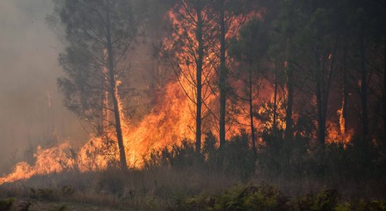 the fire under control the images of the 931 hectares