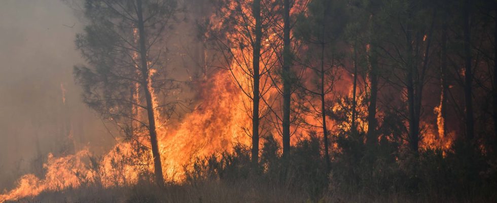 the fire under control the images of the 931 hectares