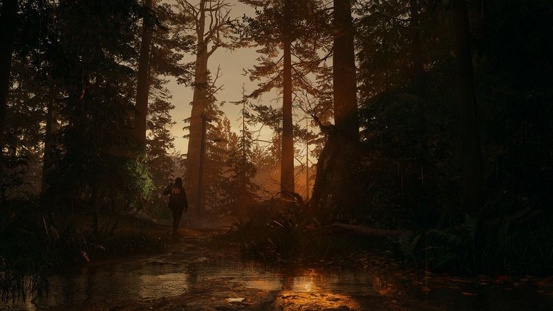 Alan Wake 2 screenshots