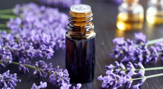 6 essential oils to finally sleep well