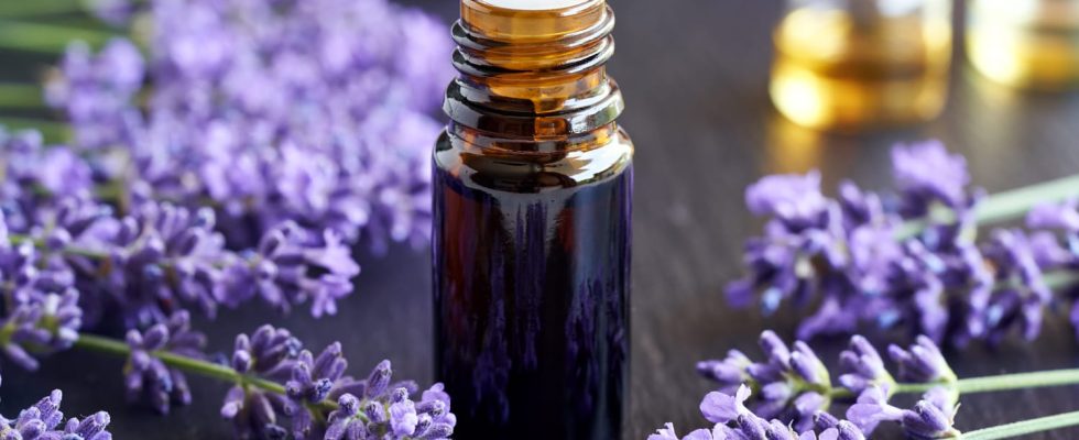 6 essential oils to finally sleep well