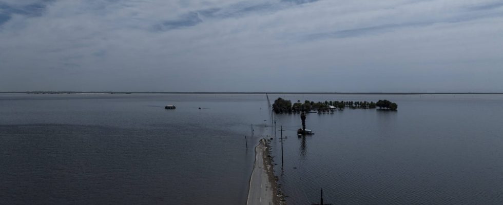 A lake is reborn in California 40 years after it