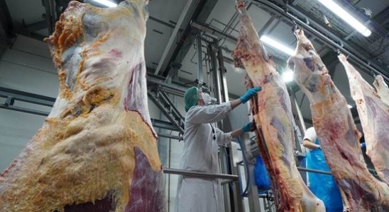 A lot is still going wrong at large slaughterhouses in