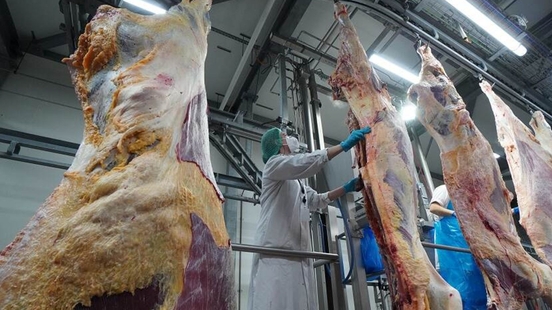 A lot is still going wrong at large slaughterhouses in