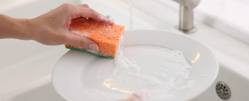 A single kitchen sponge can harbor more bacteria counts than…