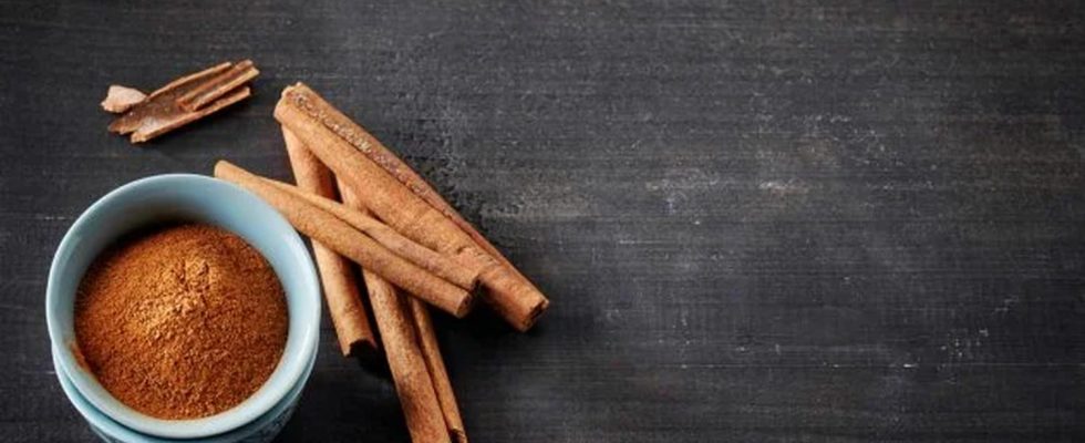 Add cinnamon to your garden and your plants will thank