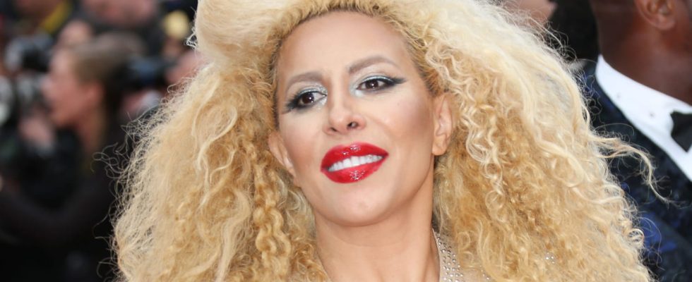 Afida Turner what is her relationship with Tina Turner