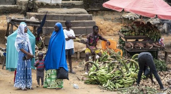 Against feminicides in Cameroon a call for urgent measures