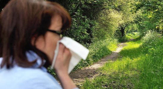 Allergies most of France on red alert for grass pollen