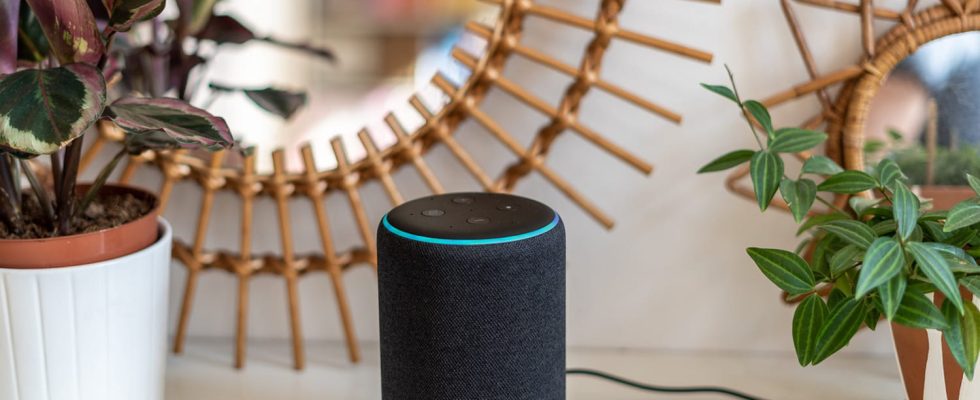 Amazon prepares its AI for ChatGPT