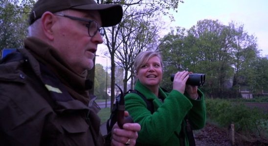 As a volunteer fauna manager Jouke walks day and night