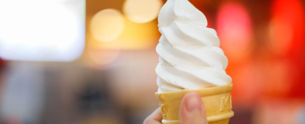 Bad News for Ice Cream Lovers Reasons You Should Never