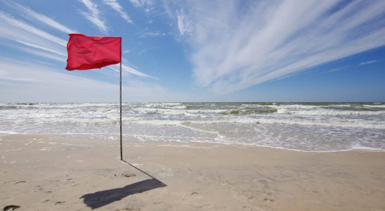 Bathing advised against this summer on these French beaches