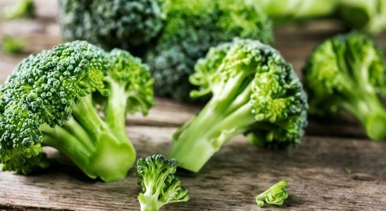 Broccoli a natural weapon against skin allergies announces science