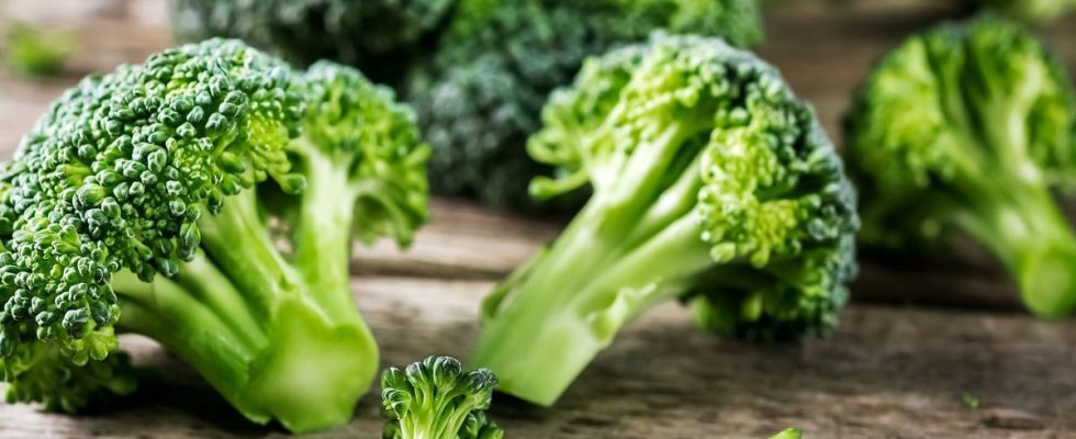 Broccoli a natural weapon against skin allergies announces science