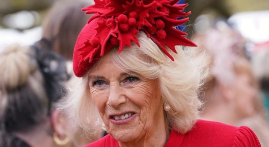 Camilla – from pariah to national treasure