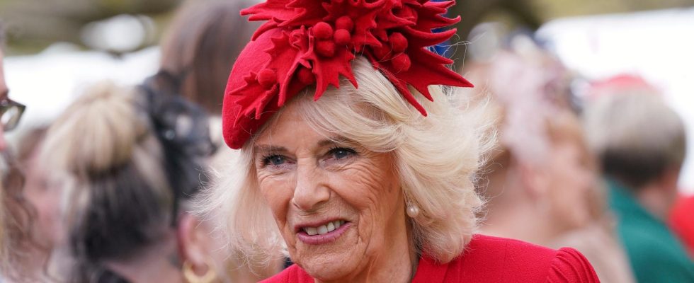 Camilla – from pariah to national treasure