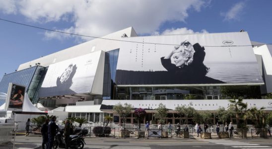 Cannes Film Festival focus on the new territories of the