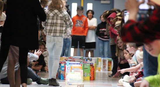 Cereal box dominoes challenge helping Sarnia food bank