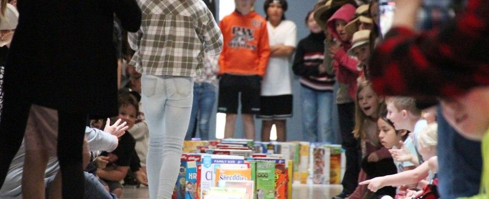 Cereal box dominoes challenge helping Sarnia food bank