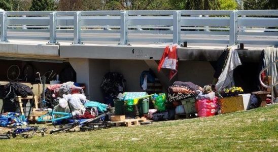 Chatham councilor calls for action on homeless encampment