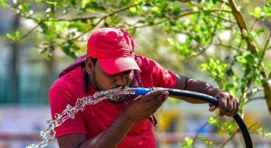 Climate change multiplies by 30 the risk of extreme heat