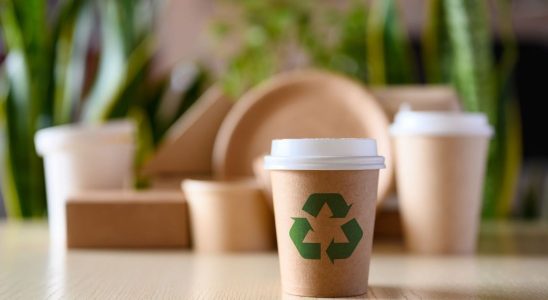 Compostable plastic packaging not a solution for Ademe