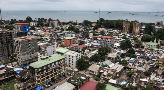 Demonstrations in Conakry authorities release three civil society figures from