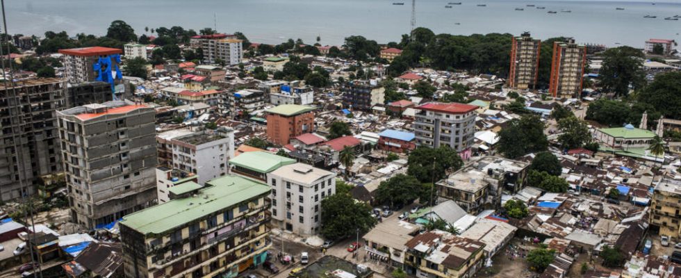 Demonstrations in Conakry authorities release three civil society figures from