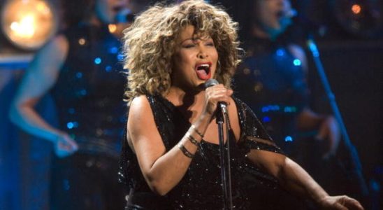 Disappearance of Tina Turner the fighter