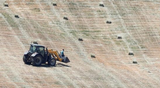 Drought in Spain the lack of rain puts agriculture in