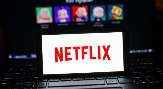 End of account sharing on Netflix what terms and solutions