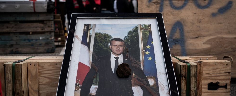 European flag why the amendment on Macrons portrait is controversial