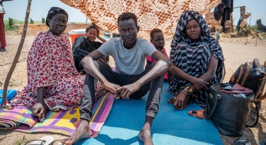 Fleeing conflict in Sudan thousands of South Sudanese students are