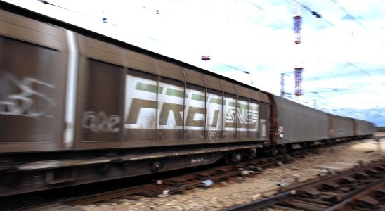 Fret SNCF the State plan to save the transport of